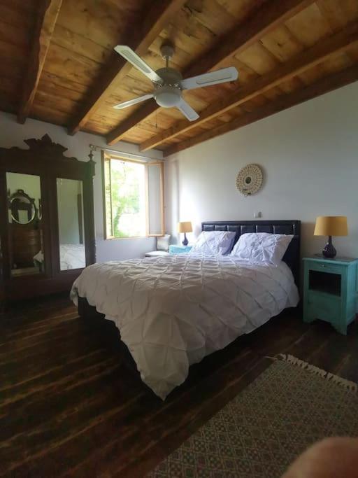 Apartament The Walnut Tree. Saint-Aulaye-Puymangou Zewnętrze zdjęcie