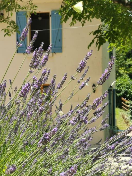 Apartament The Walnut Tree. Saint-Aulaye-Puymangou Zewnętrze zdjęcie